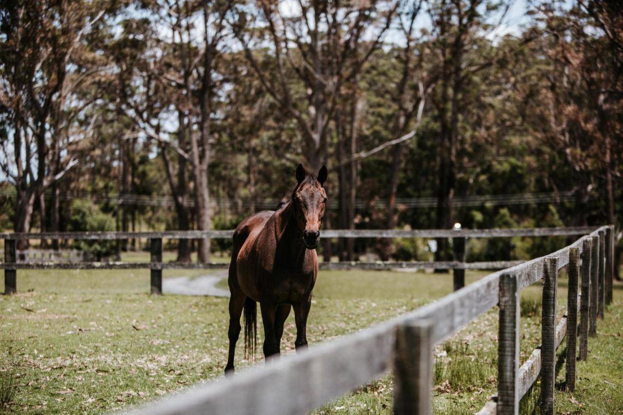 Worrowing Jervis Bay Hotel Huskisson Buitenkant foto