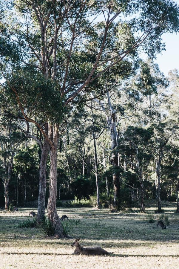 Worrowing Jervis Bay Hotel Huskisson Buitenkant foto